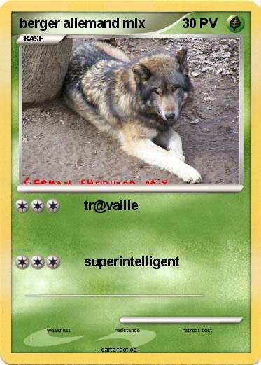 Pokemon berger allemand mix