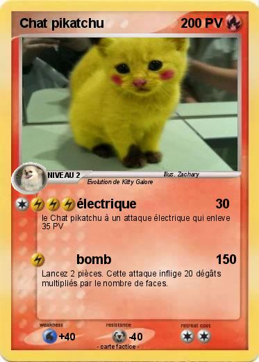 Pokemon Chat pikatchu
