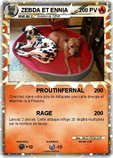 Pokemon ZEBDA ET ENNIA