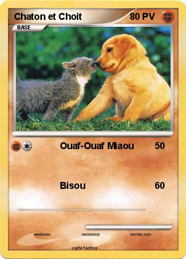 Pokemon Chaton et Choit