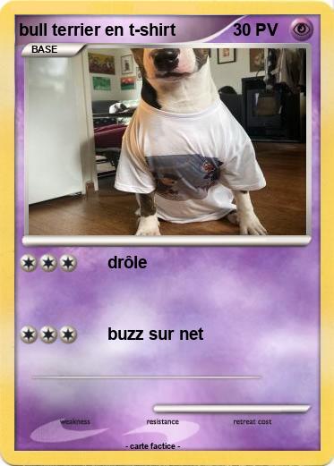 Pokemon bull terrier en t-shirt