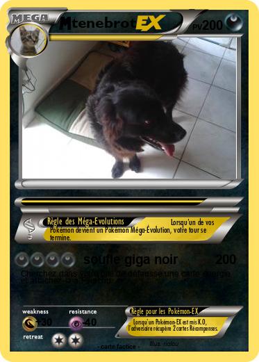 Pokemon tenebrot