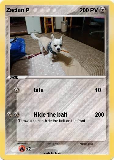 Pokemon Zacian P
