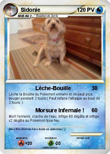 Pokemon Sidonie