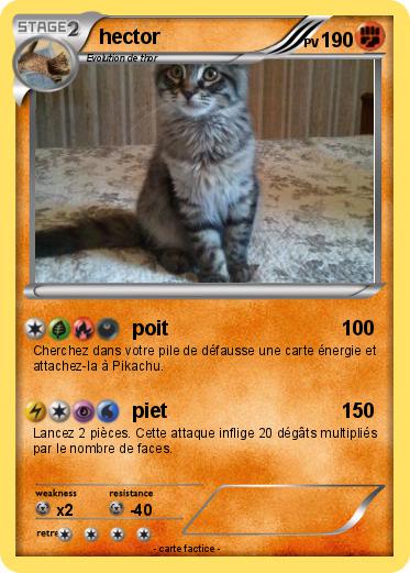 Pokemon hector