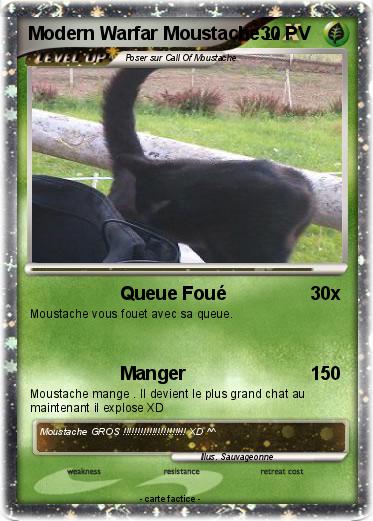 Pokemon Modern Warfar Moustache