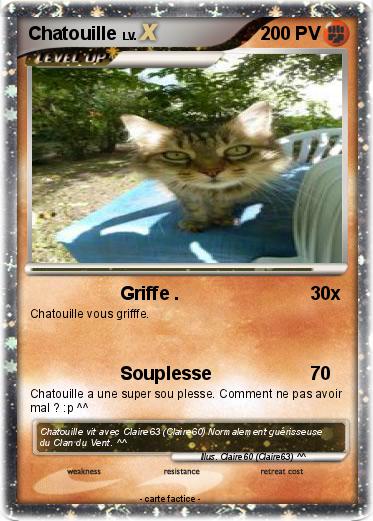Pokemon Chatouille