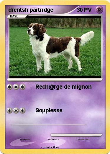 Pokemon drentsh partridge