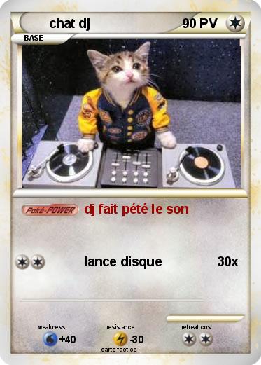 Pokemon chat dj