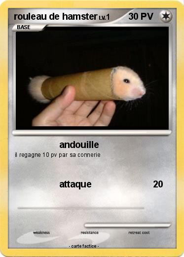 Pokemon rouleau de hamster