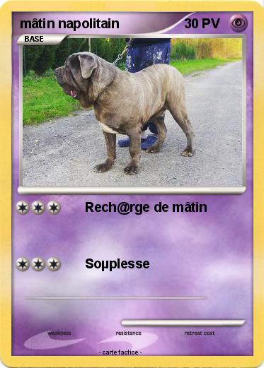 Pokemon mâtin napolitain