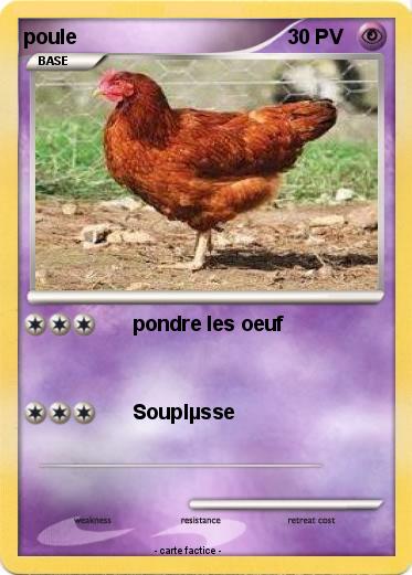 Pokemon poule
