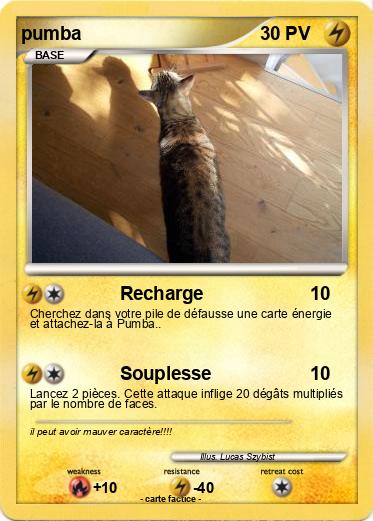 Pokemon pumba