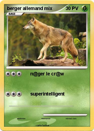 Pokemon berger allemand mix