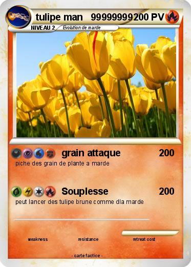 Pokemon tulipe man   99999999