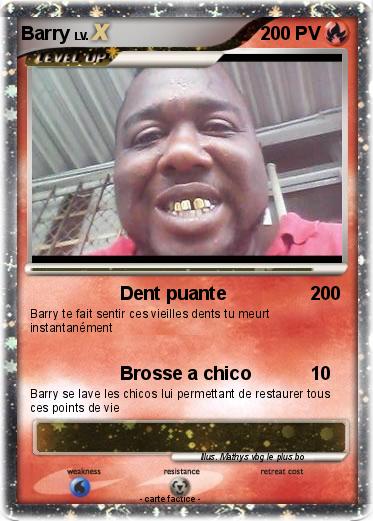 Pokemon Barry