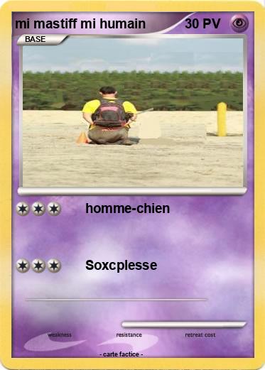 Pokemon mi mastiff mi humain