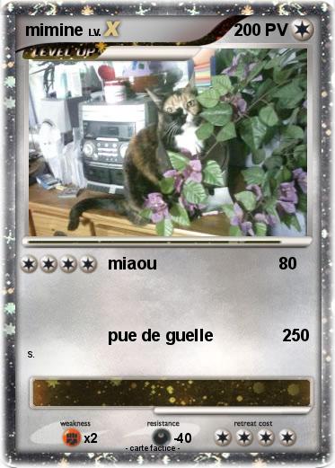 Pokemon mimine