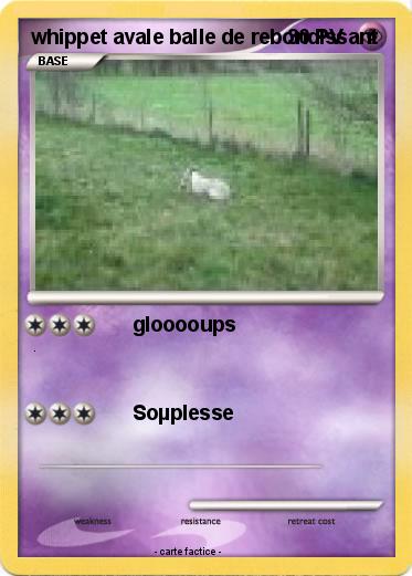 Pokemon whippet avale balle de rebondissant