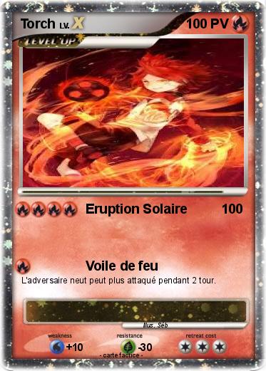 Pokemon Torch