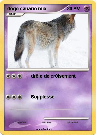 Pokemon dogo canario mix