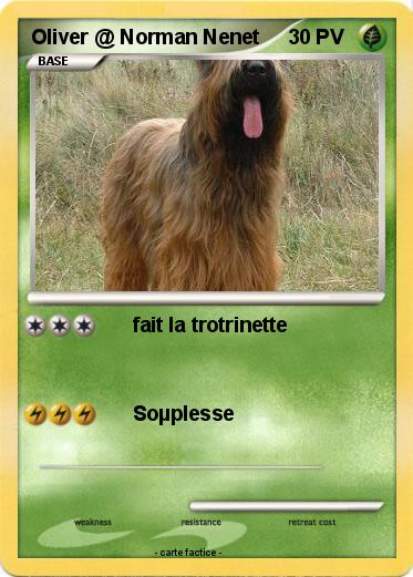 Pokemon Oliver @ Norman Nenet