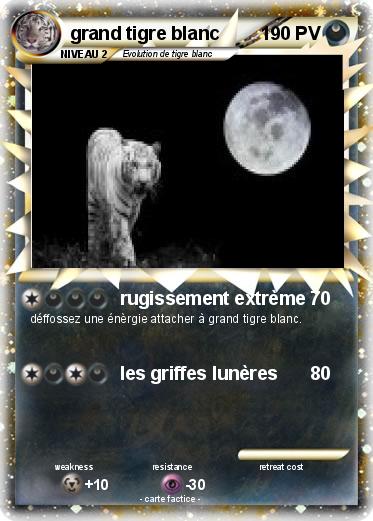 Pokemon grand tigre blanc
