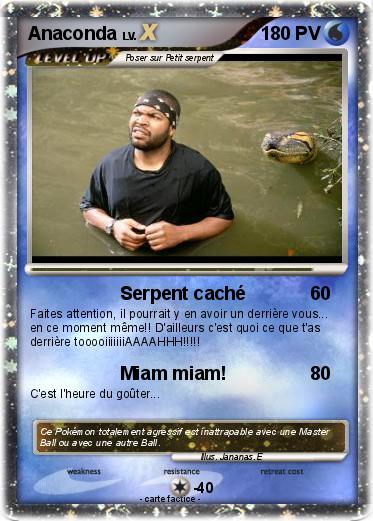 Pokemon Anaconda