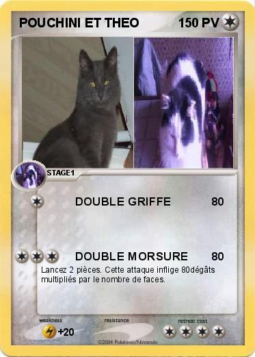 Pokemon POUCHINI ET THEO 