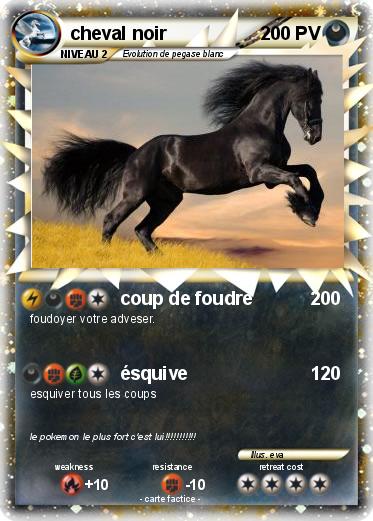 Pokemon cheval noir