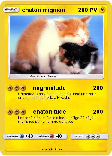 Pokemon chaton mignion