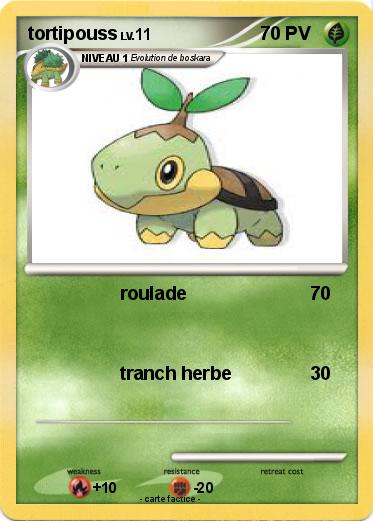 Pokemon tortipouss