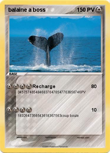 Pokemon balaine a boss