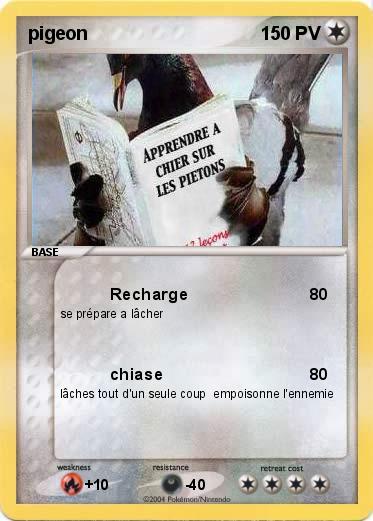 Pokemon pigeon                                                 