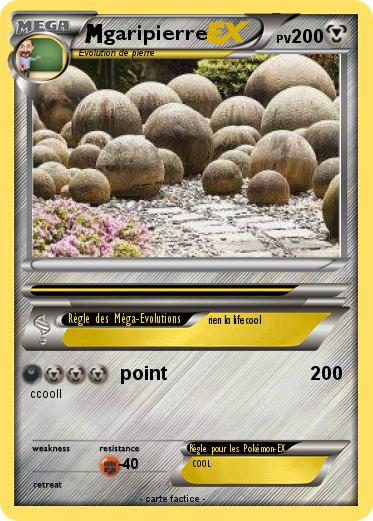 Pokemon garipierre