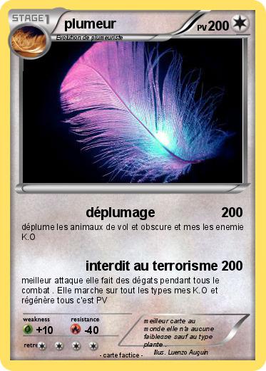 Pokemon plumeur