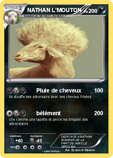 Pokemon NATHAN L'MOUTON