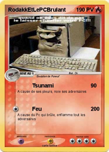 Pokemon RodakkEtLePCBrulant