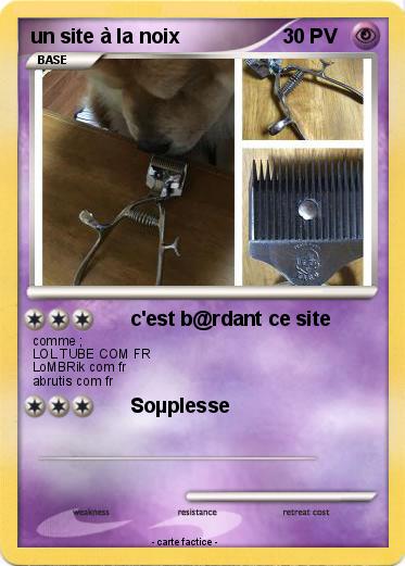 Pokemon un site à la noix