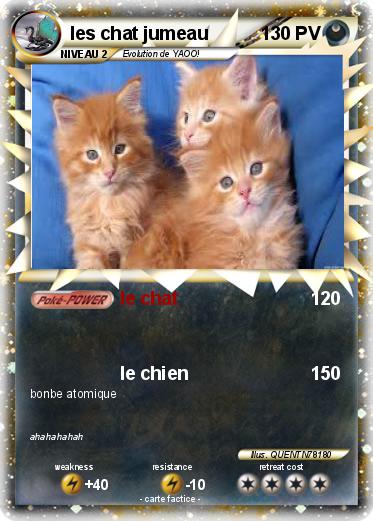 Pokemon les chat jumeau