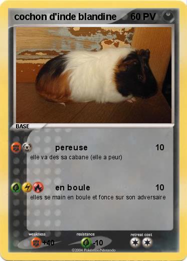 Pokemon cochon d'inde blandine