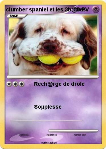 Pokemon clumber spaniel et les 3b@lles