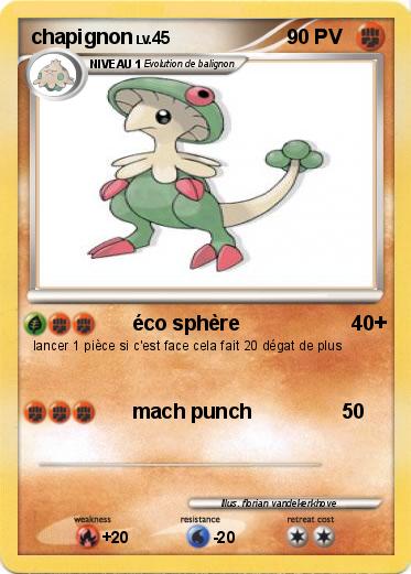 Pokemon chapignon