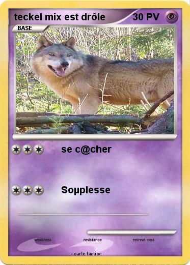 Pokemon teckel mix est drôle