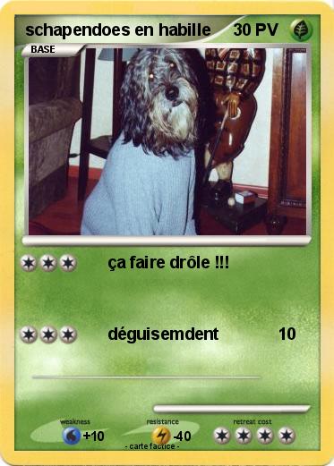 Pokemon schapendoes en habille