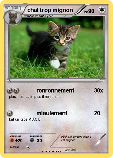 Pokemon chat trop mignon