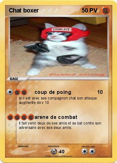 Pokemon Chat boxer