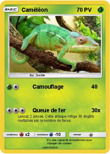 Pokemon Caméléon