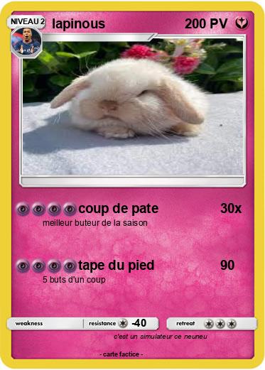 Pokemon lapinous