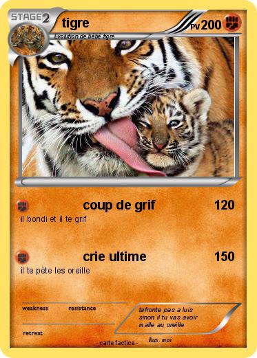 Pokemon tigre